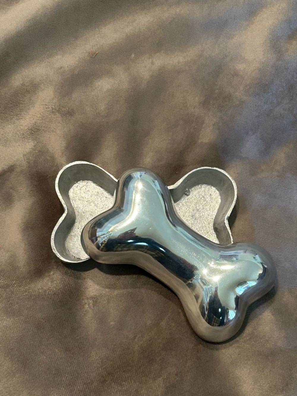 Shiny Metal Bone Trinket Box